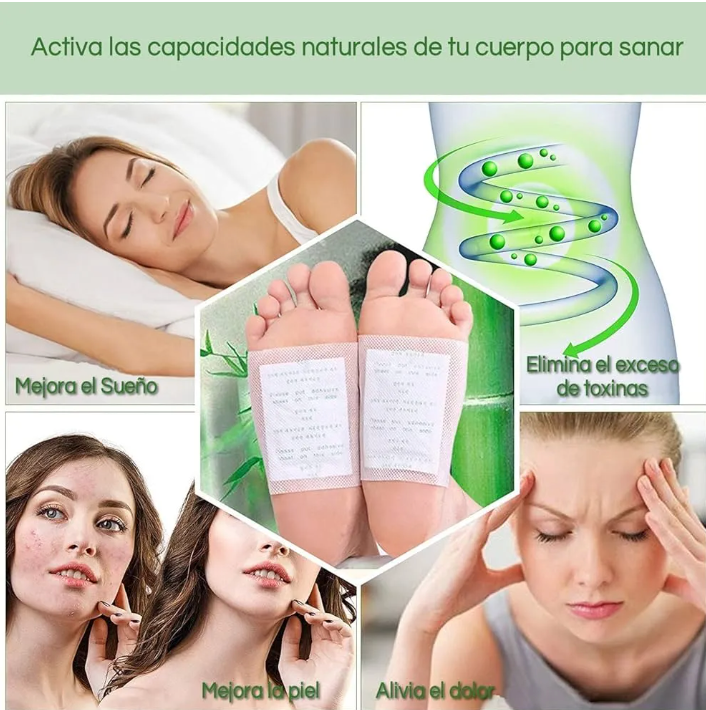 Encabezado