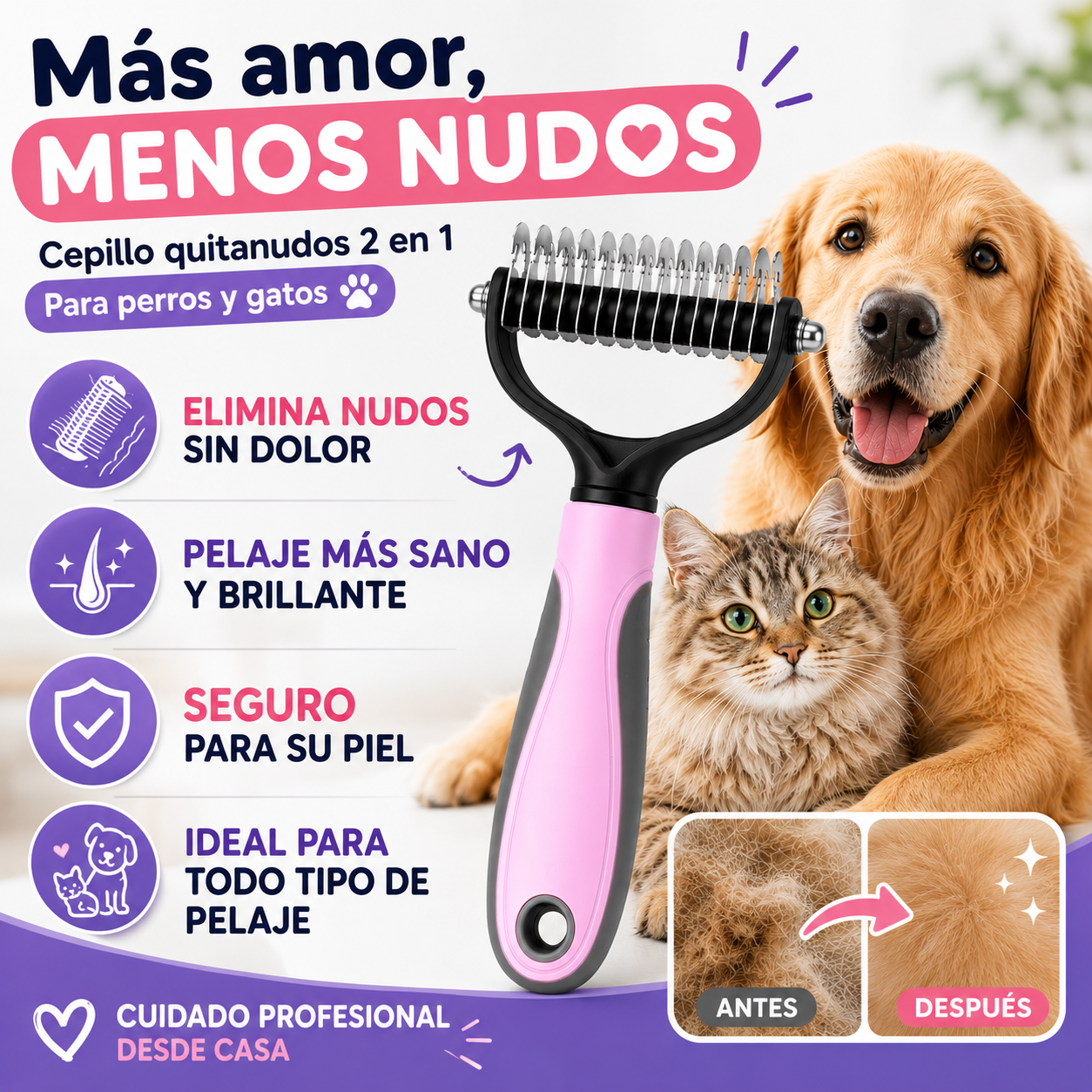 Encabezado